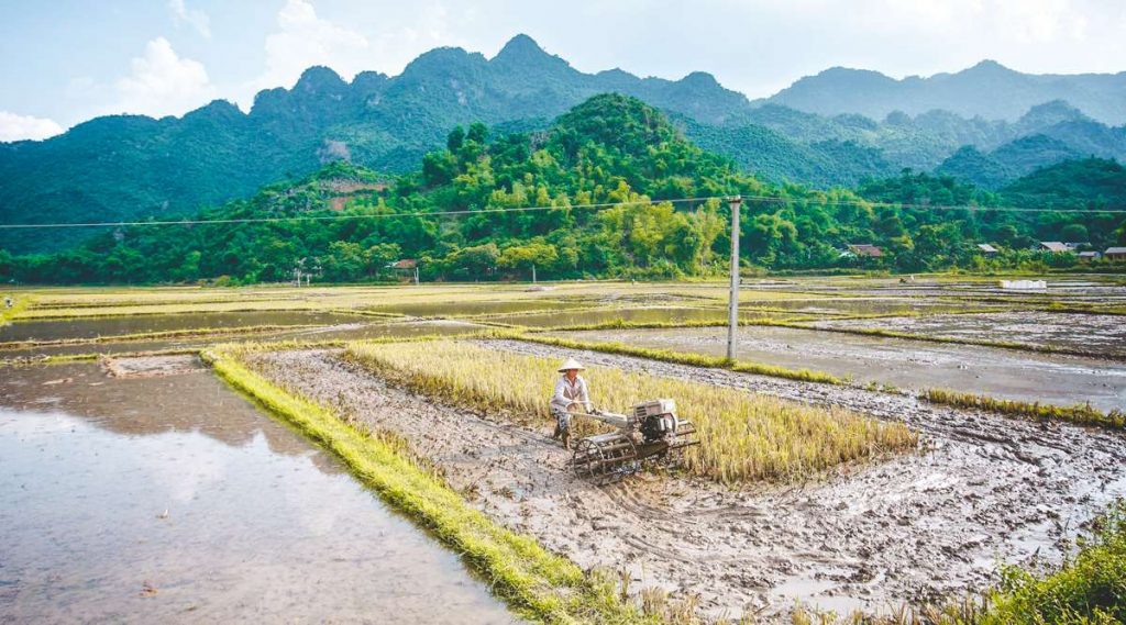 Mai Chau trekking tour