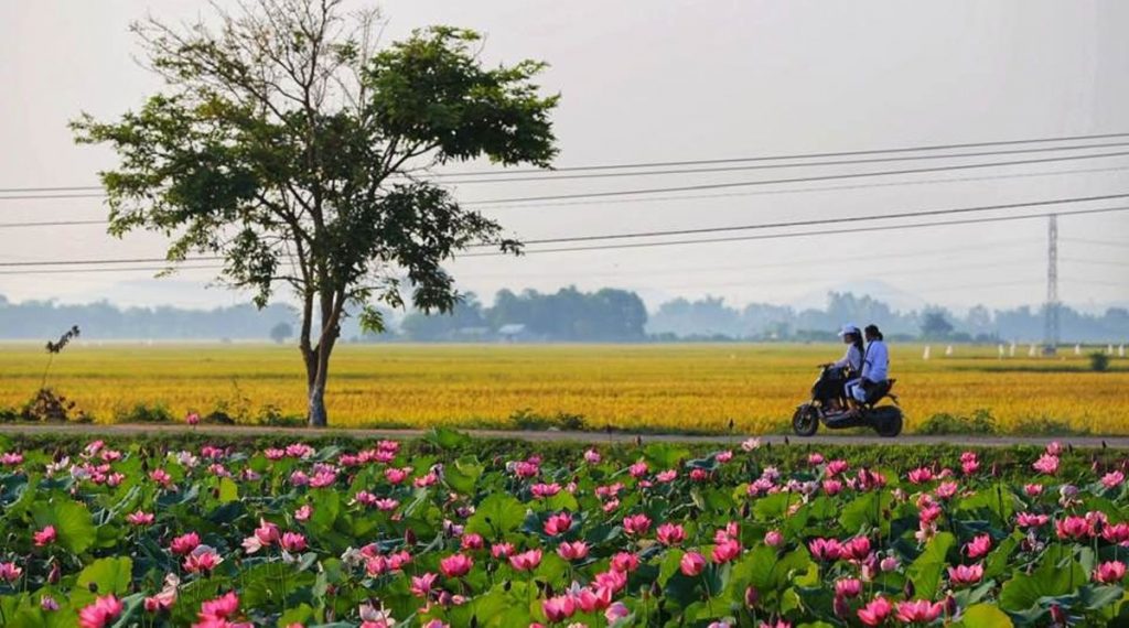 Hue fietsen platteland