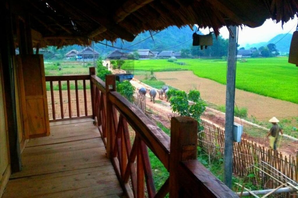 Mr Thien Homestay