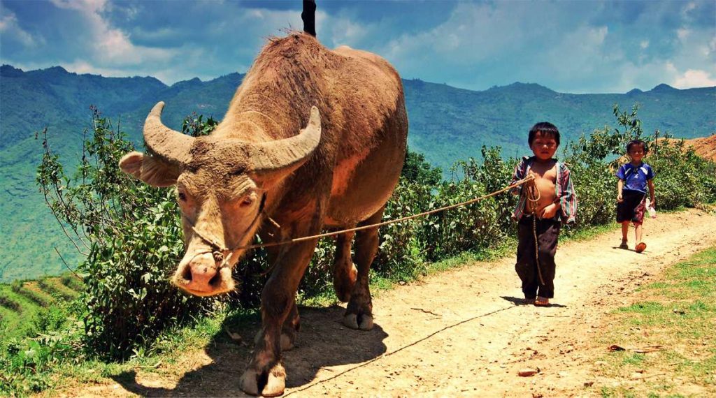 trekking in Ha Giang