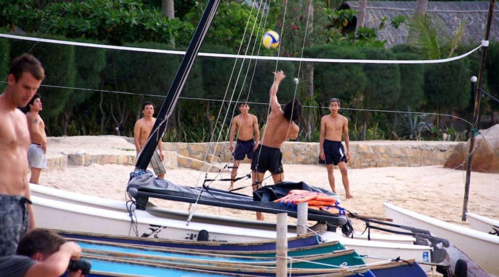 Whale island kajakken