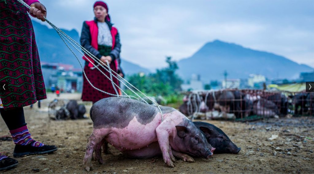 Ha Giang rondreis