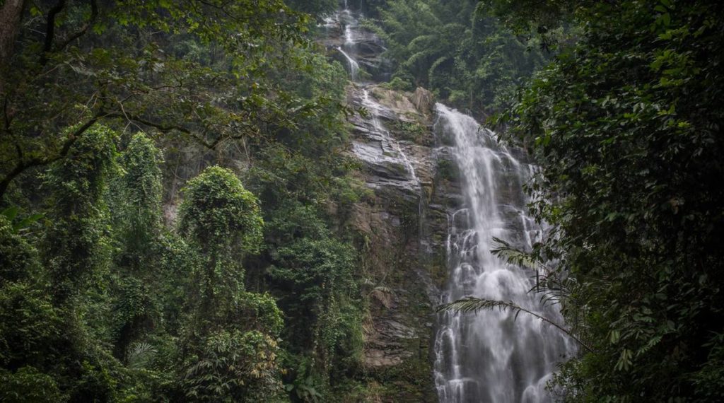 Pu Mat nationaal park in Vietnam