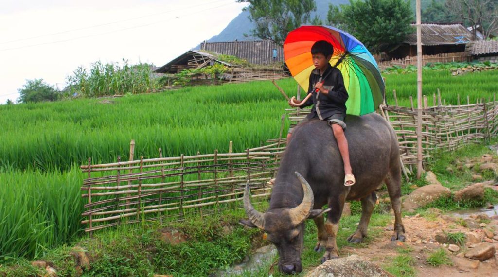 Giang Ta Chai
