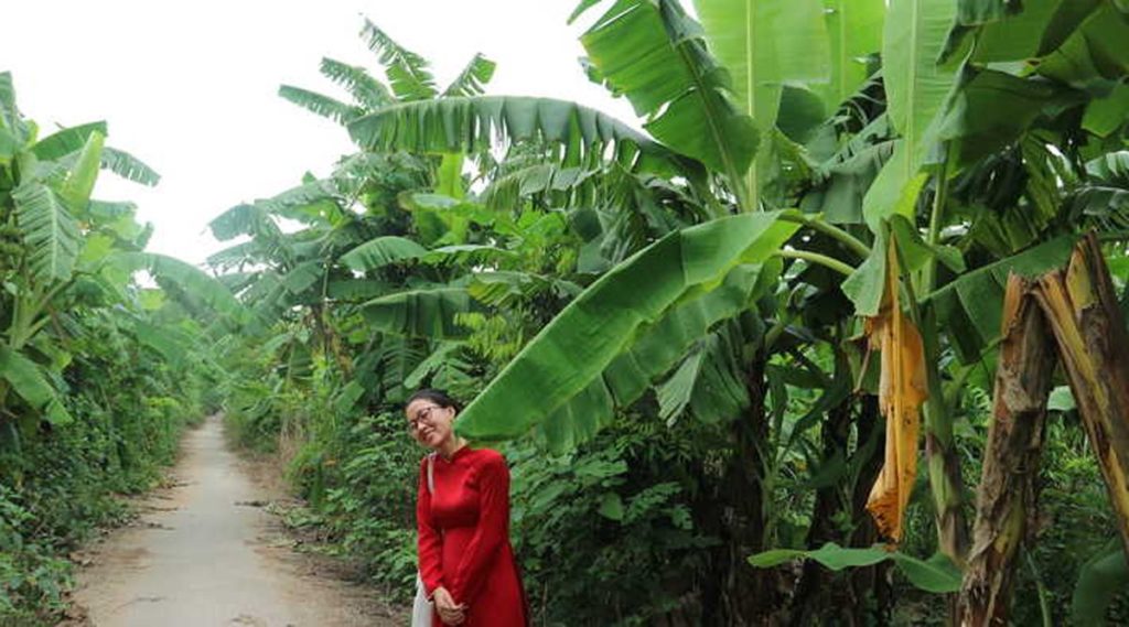 Hanoi instgram tour