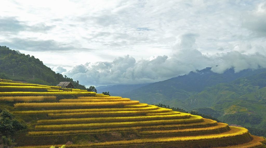 Lao Chai trekking Sapa