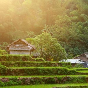 Sapa homestay trekking