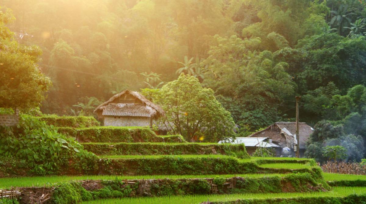 Sapa homestay trekking