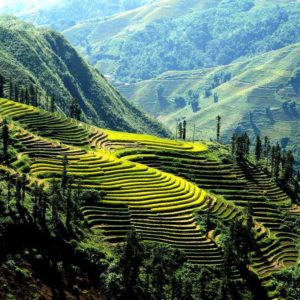 Sapa - Lao Chai - Ta Van