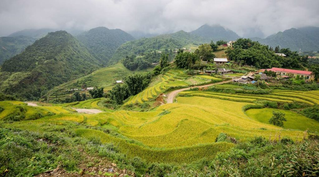 Sapa trekking