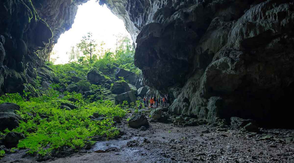 Phong Nha trekking