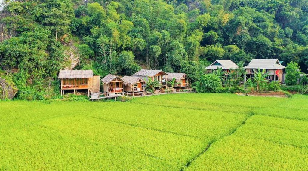 Little Mai Chau Homestay