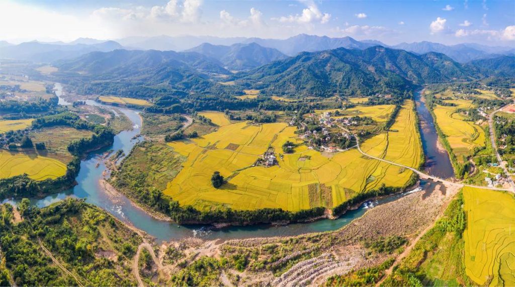 rijstvelden noordoost Vietnam