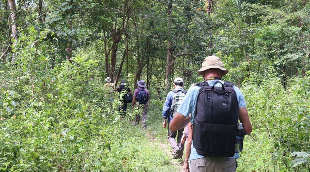 Yok Don trekking