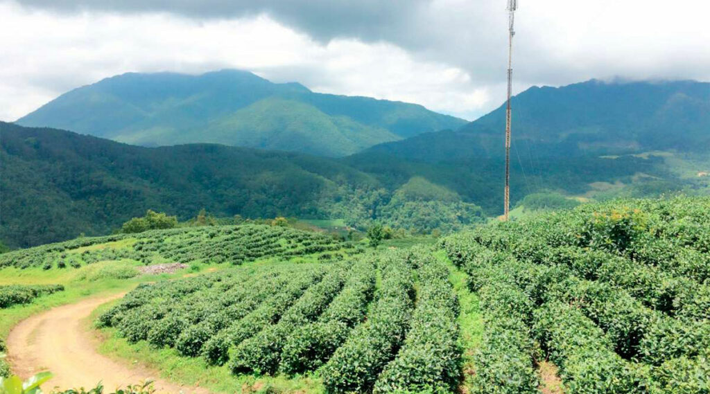 Phia Oac Nationaal Park