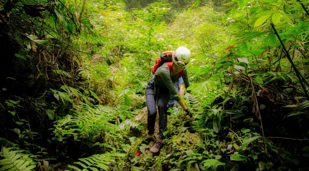 trekking in Phong Nha