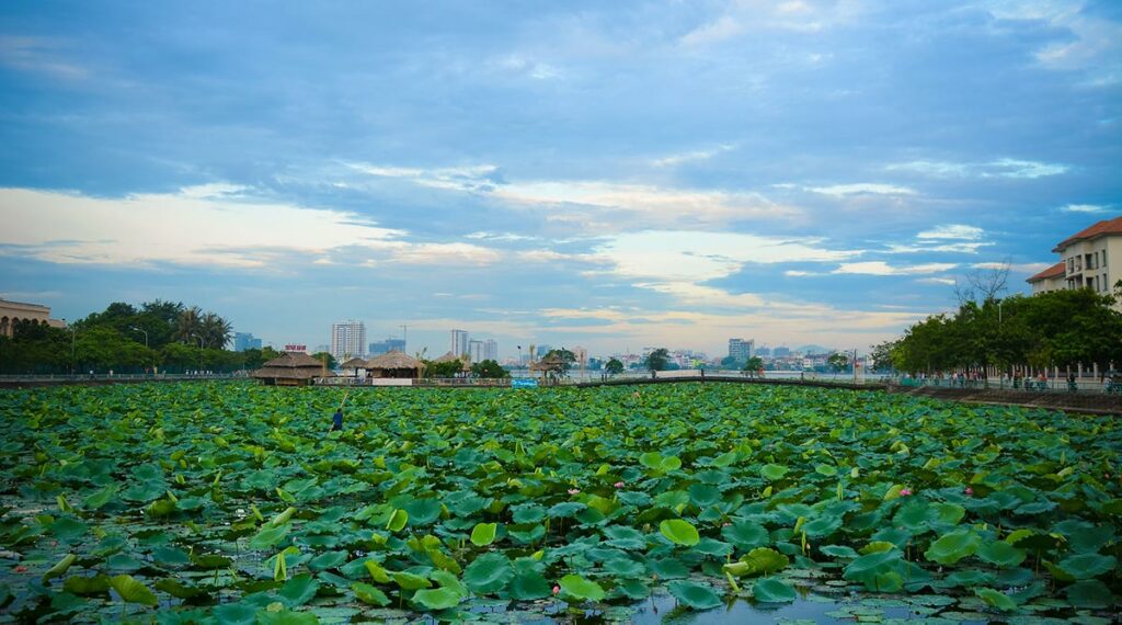 Lotusvijver West Lake