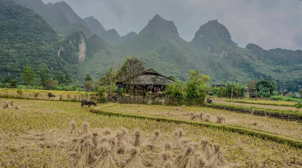 Xuan Truong Cao Bang