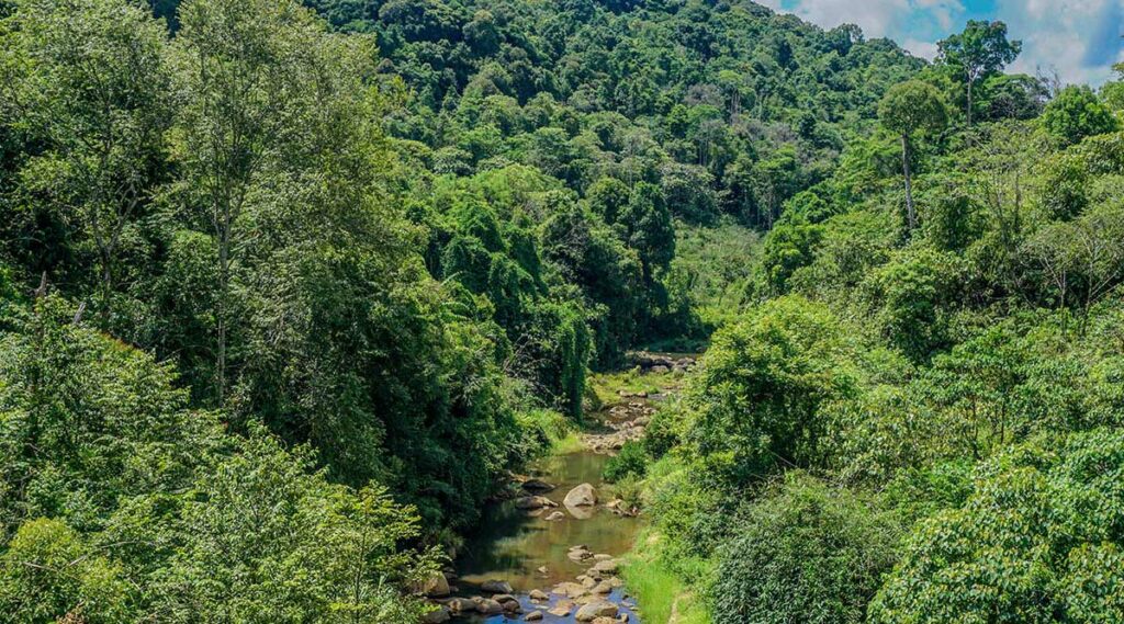 Mang Den bossen en rivier