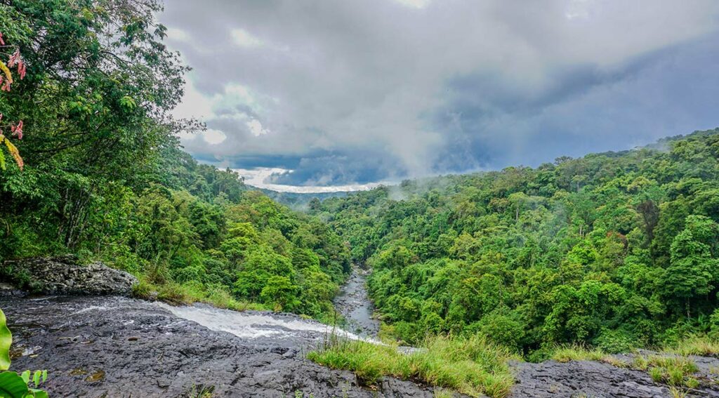 Vietnamese jungle in Kon Chu Ran Nature Reserve