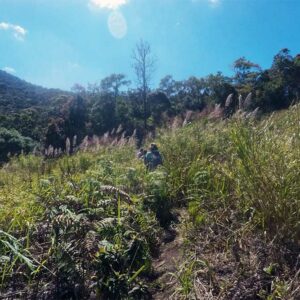 Dalat 1 daagse Jungle trekking Razorback Trailhead