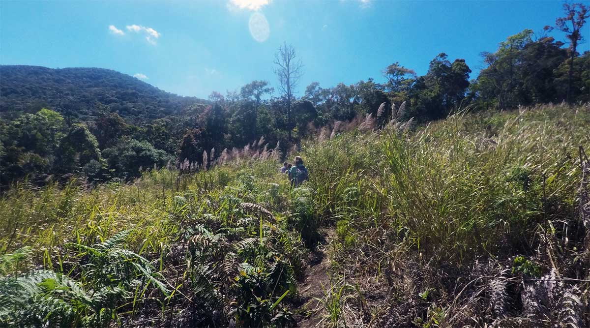 jungle fever trekking dalat tumb